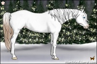 Horse Color:Bay Pearl Splash Near Leopard Rabicano
