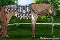 Horse Color:Liver Red Dun Splash  Brindle