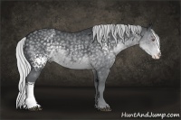 Horse Color:White Spotted Silver Black Chinchilla Splash