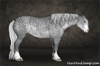 Horse Color:Silver Blue Chinchilla Roan Sabino 