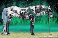 Horse Color:Watercolor Bay Dun Sabino 