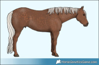 Horse Color:Silver Black 