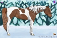 Horse Color:Chestnut Tobiano