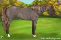 Horse Color:Liver Red Roan 