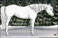 Horse Color:White Spotted Silver Amber Champagne Pearl Dun 