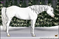 Horse Color:White Spotted Silver Bay Pearl Dun Splash 