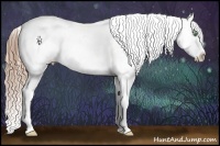 Horse Color:White Spotted Smoky Black Pearl Sabino Appaloosa