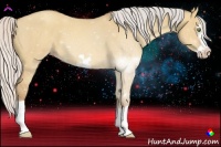 Horse Color:Silver Amber Champagne Dun Splash Frame