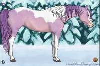 Horse Color:Watercolor Red Dun Splash Tobiano 