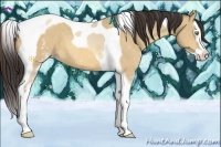 Horse Color:White Spotted Amber Champagne Dun Splash Tobiano 
