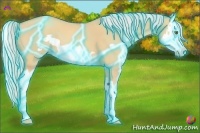 Horse Color:Thunderstruck Silver Amber Champagne Dun Splash Frame 