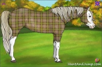 Horse Color:Plaid  Silver Bay Splash Rabicano 