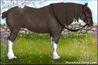 Horse Color:Liver Chestnut Tobiano