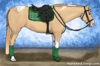 Horse Color:Gold Champagne Splash Tobiano