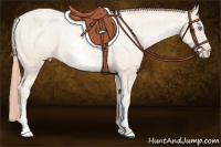 Horse Color:White Spotted Buckskin Pearl Varnish 
