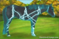 Horse Color:Thunderstruck Black 