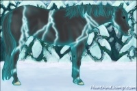 Horse Color:Thunderstruck Black 