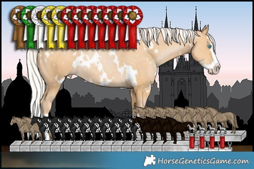 Horse Color:White Spotted Silver Smoky Black Pearl Splash 