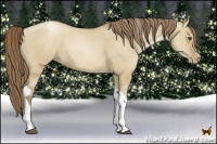 Horse Color:Grullo Pearl Tobiano 