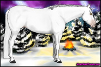 Horse Color:Gray Gold Champagne 