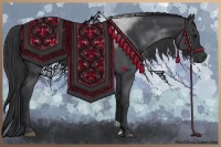 Horse Color:Blue Roan 
