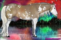 Horse Color:White Spotted Chestnut Splash 