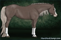 Horse Color:Silver Black Splash 