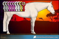 Horse Color:Perlino 