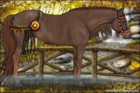 Horse Color:Liver Chestnut  Brindle
