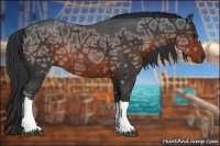 Horse Color:Brown Ice Rabicano