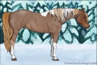 Horse Color:Red Roan Tobiano 