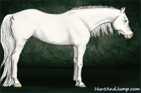 Horse Color:Silver Smoky Creme Roan Dun Rabicano  Brindle