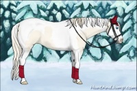 Horse Color:Perlino Roan Dun Splash Tobiano 