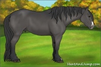Horse Color:Black Frame 