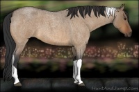 Horse Color:Bay Roan Dun Tobiano