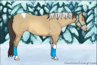 Horse Color:Amber Cream Champagne Tobiano 