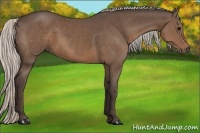 Horse Color:Silver Black Sabino 