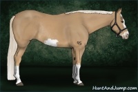 Horse Color:Palomino Splash Frame Rabicano