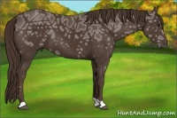 Horse Color:Liver Chestnut Ice 