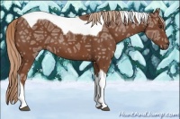 Horse Color:Chestnut Ice Tobiano 