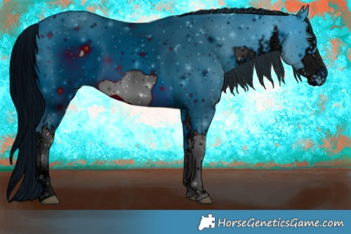 Horse Color:ERROR: UNKNOWN ANOMALY