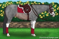 Horse Color:Brown Roan Sabino