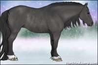 Horse Color:Grullo Rabicano 