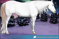 Horse Color:Sable Champagne Fewspot 