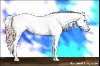 Horse Color:Chestnut Sabino Splash Frame Blanket Rabicano 