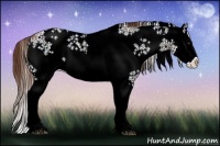 Horse Color:White Spotted Liver Chestnut Ice Splash Brindle