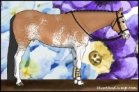 Horse Color:White Spotted Bay 