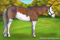 Horse Color:Nacre Bay Splash 