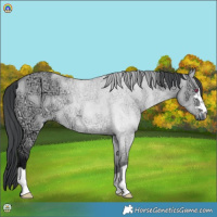 Horse Color:Bay Chinchilla Ice Dun 