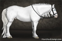 Horse Color:Watercolor Gold Champagne Sabino Splash Tobiano Appaloosa Rabicano